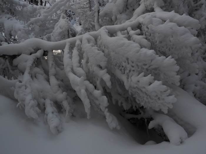 雪山日和_c0110112_23344711.jpg