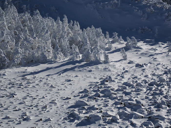 雪山日和_c0110112_23375114.jpg