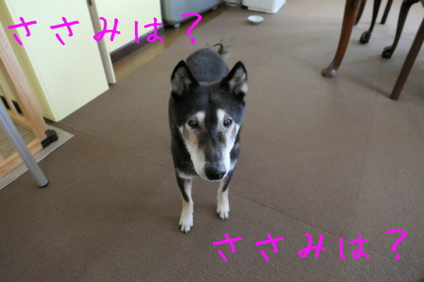 f0369014_10322310.jpg