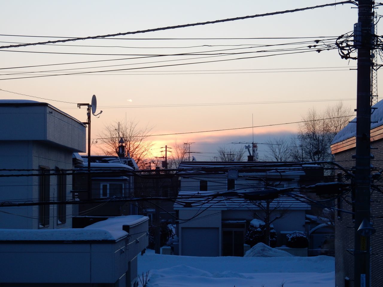 寒さの底_c0025115_21030531.jpg