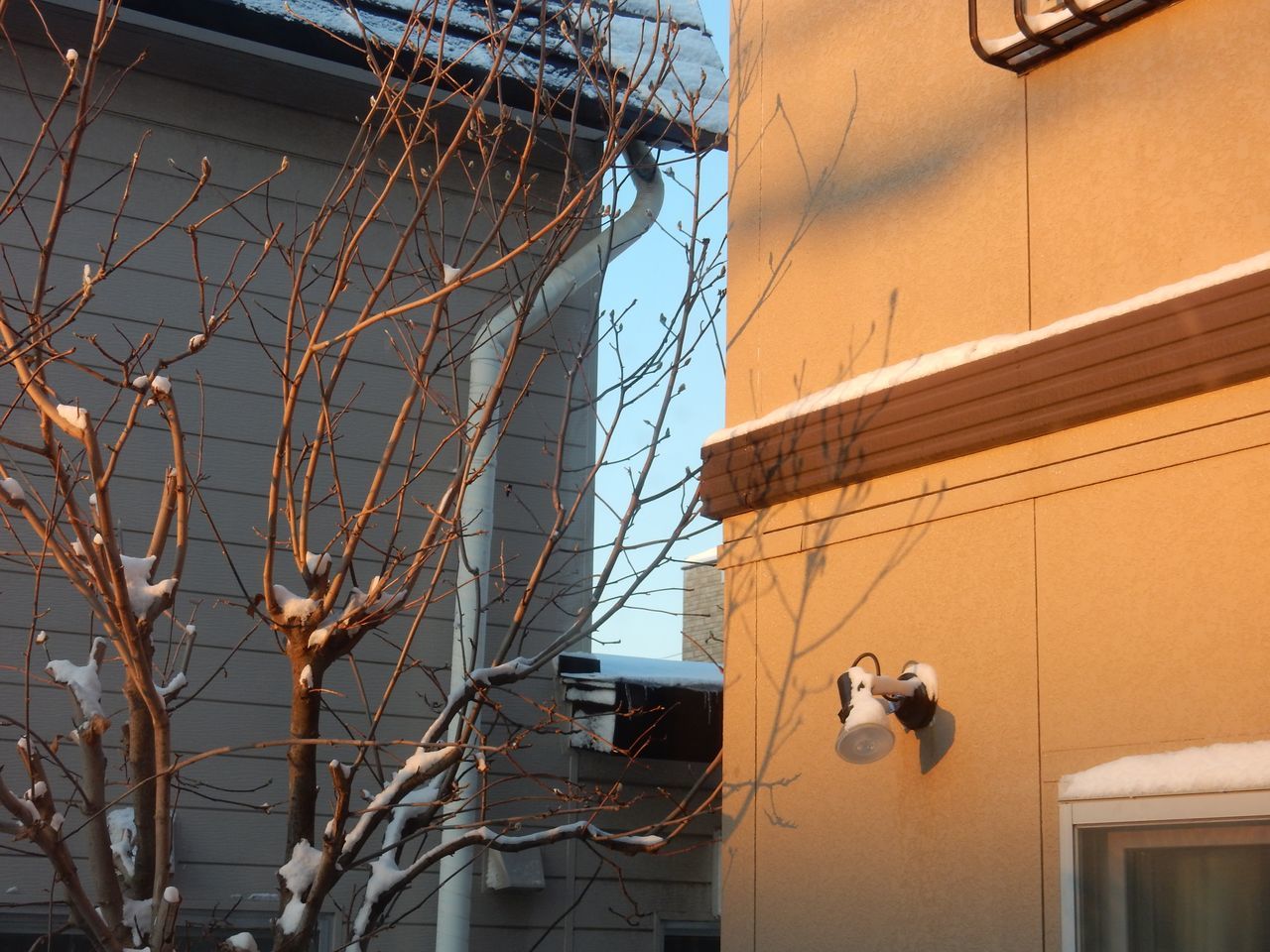 寒さの底_c0025115_21032284.jpg