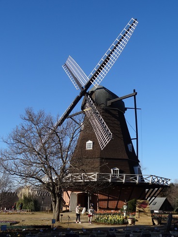 f0000521_15324227.jpg