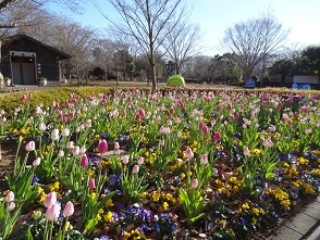 f0000521_15393328.jpg