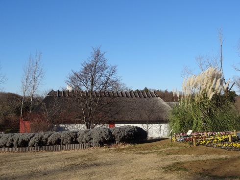 f0000521_15422052.jpg