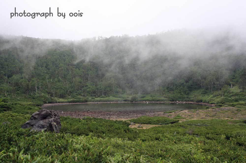 e0123723_10023638.jpg