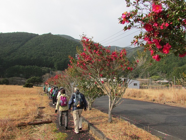 健康ウォーク(九鬼駅~早田往復)に参加_e0321325_16260967.jpg