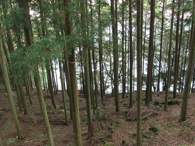 健康ウォーク(九鬼駅~早田往復)に参加_e0321325_16302567.jpg