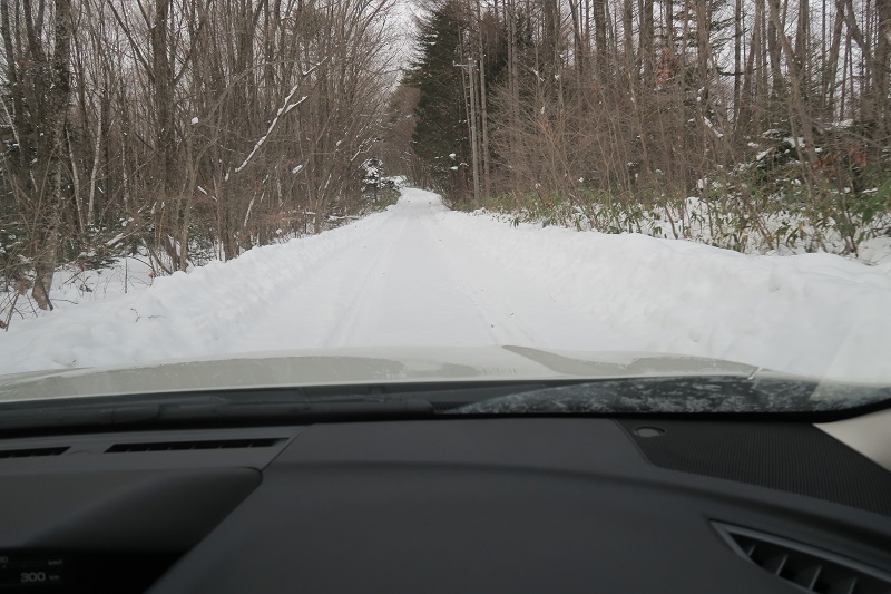 XVで雪道を翔ける_f0076731_19265378.jpg
