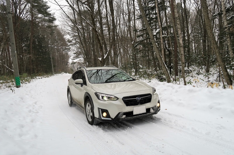 XVで雪道を翔ける_f0076731_19270580.jpg