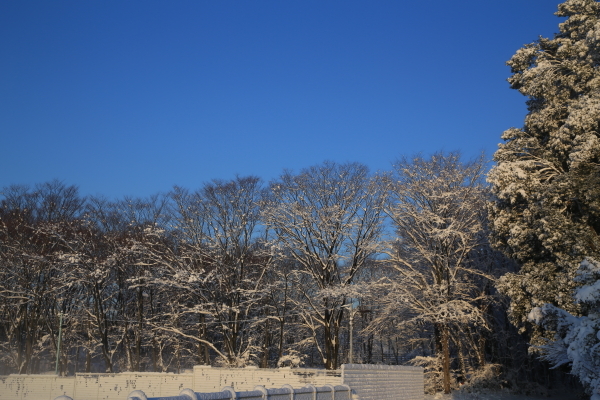 f0229832_22494007.jpg
