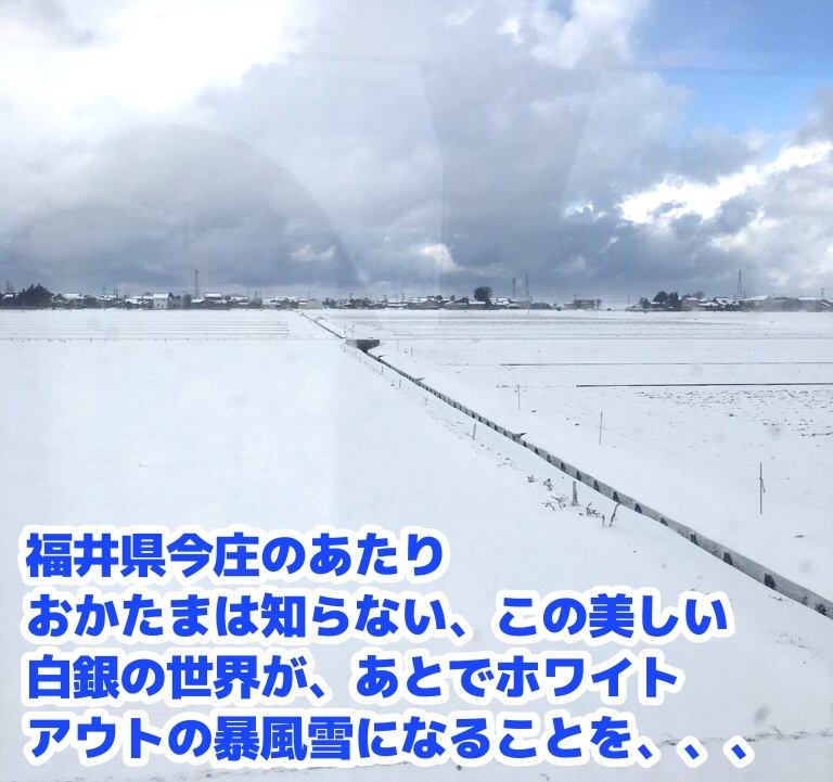 e0387640_20573290.jpeg