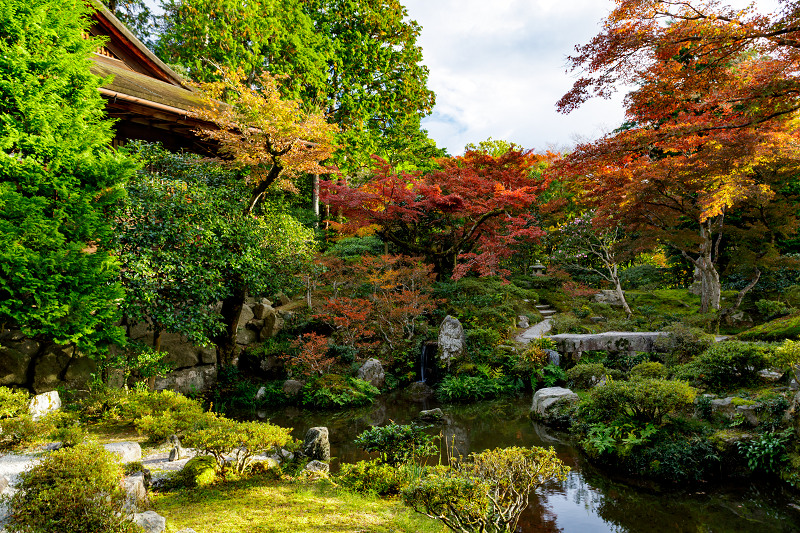 京都の紅葉2017 魅惑の修学院離宮（中離宮編）_f0155048_23312717.jpg