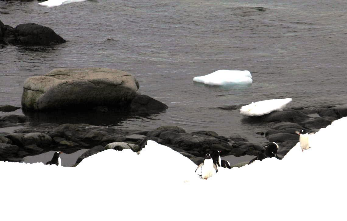 c0011649_07405950.jpg