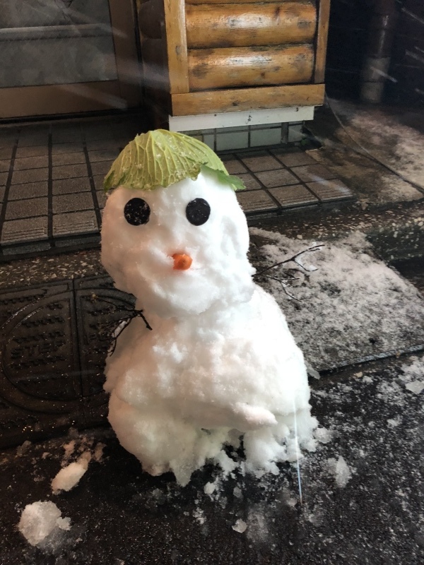 雪、あっという間に溶けましたね!&1月25日(木)のランチメニュー_d0243849_14484462.jpeg