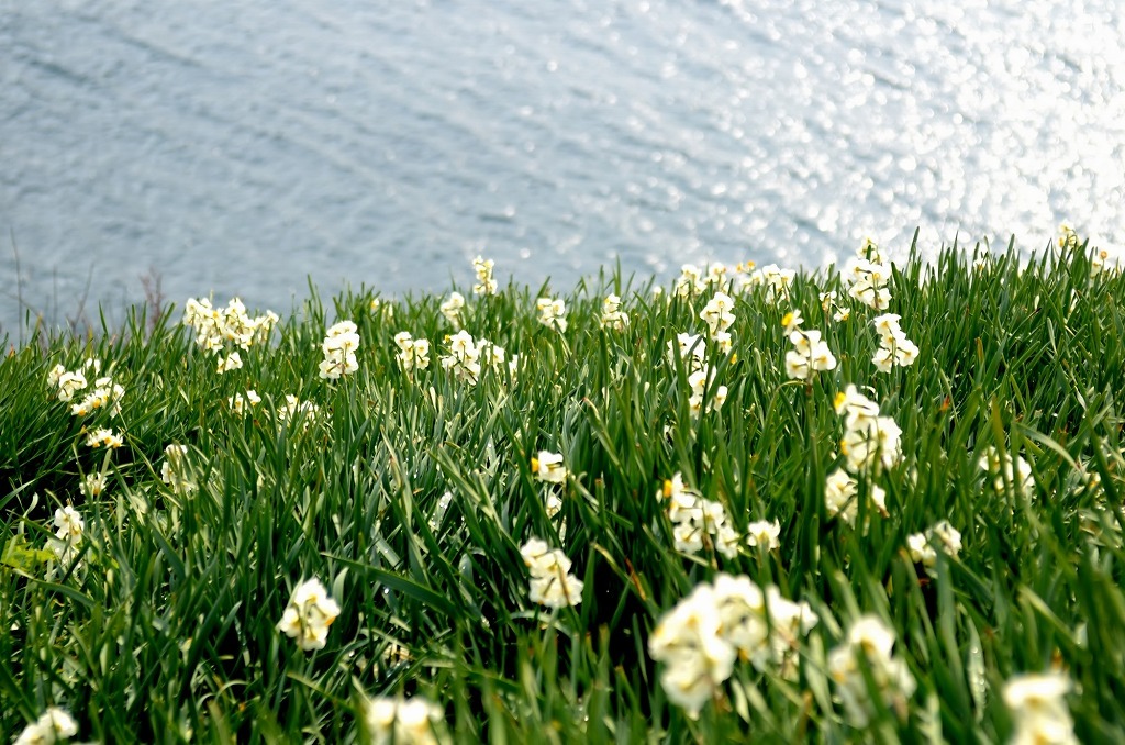 f0130251_17501780.jpg