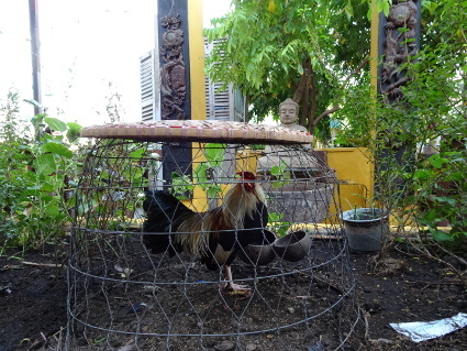 f0082356_22515721.jpeg
