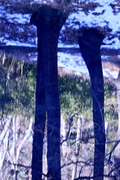 a0248459_13562562.jpg