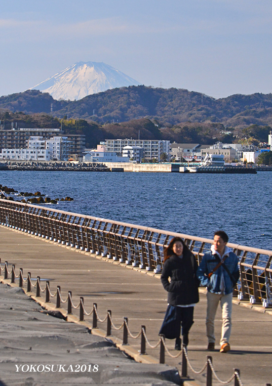 富士が見える絶景スポット！『横須賀』②_d0251161_08461216.jpg