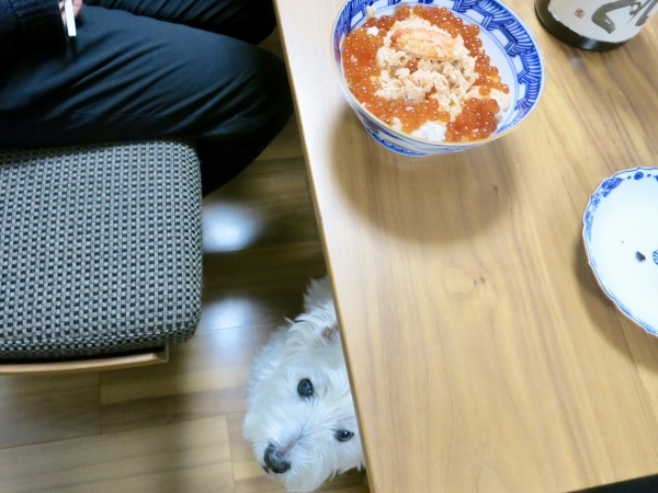 親子海鮮丼_f0363961_18253922.jpeg