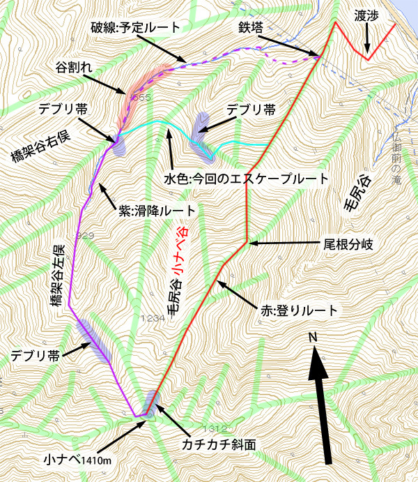 荒島岳北尾根から小ナベ、橋架谷滑降+α。_c0087773_13121532.jpg