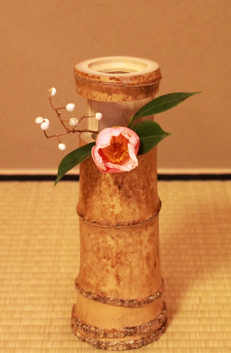 茶花 ~椿・セイオウボ(西王母)、南京ハゼ~_a0107574_17494308.jpg