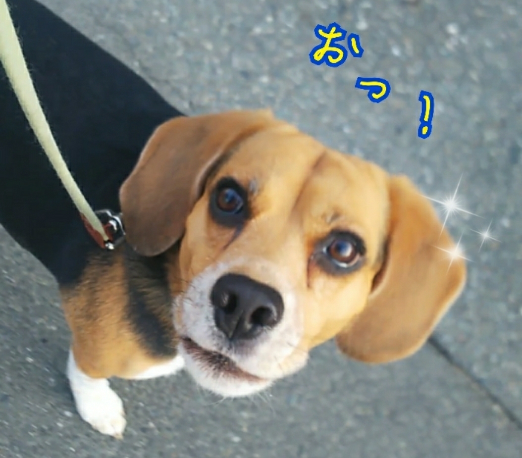 雪にも負けず向かい風にも負けず_f0357682_13042538.jpg