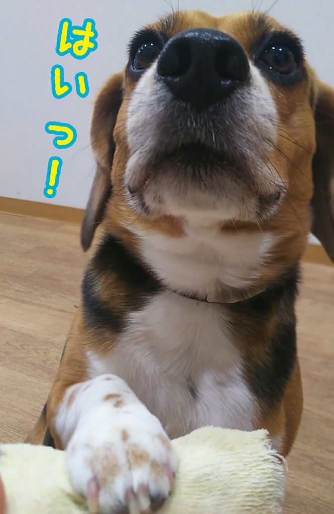 雪にも負けず向かい風にも負けず_f0357682_13591347.jpg