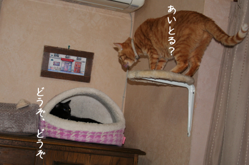 a0216583_11362383.png