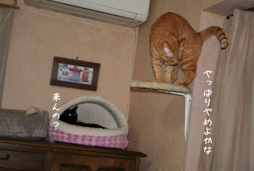 a0216583_11362694.png
