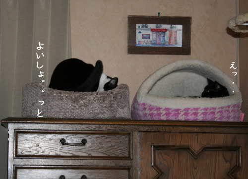 a0216583_11363892.png