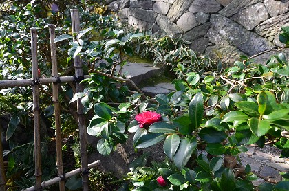c0229483_8421257.jpg
