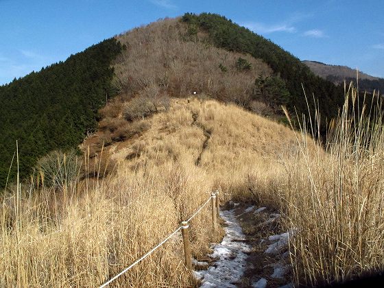 まさかの雪なし、観音峰山で電波難民　JA/NR-009_f0073587_12531.jpg