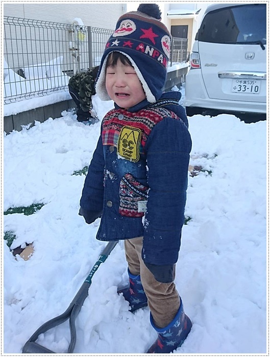 関東の積雪、孫たちの雪遊びの写真を見て納得です、すごかったんだね～_b0175688_20542044.jpg