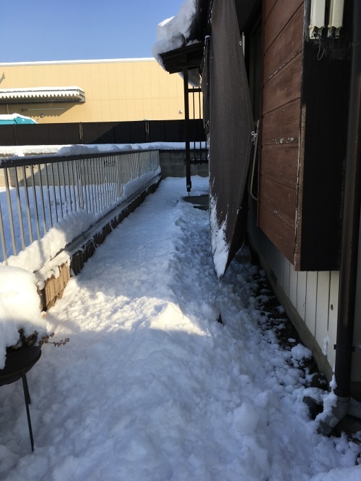 大雪予報でしたが・・・_a0123191_09092723.jpeg