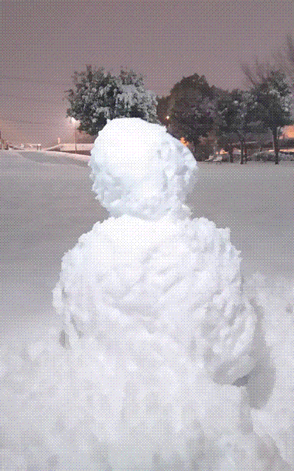 e0199691_00251922.gif