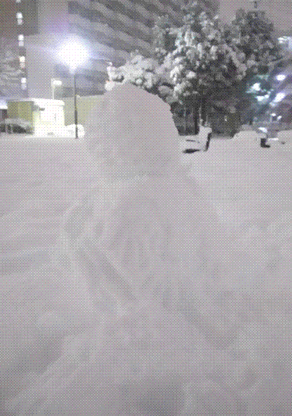 e0199691_00252724.gif