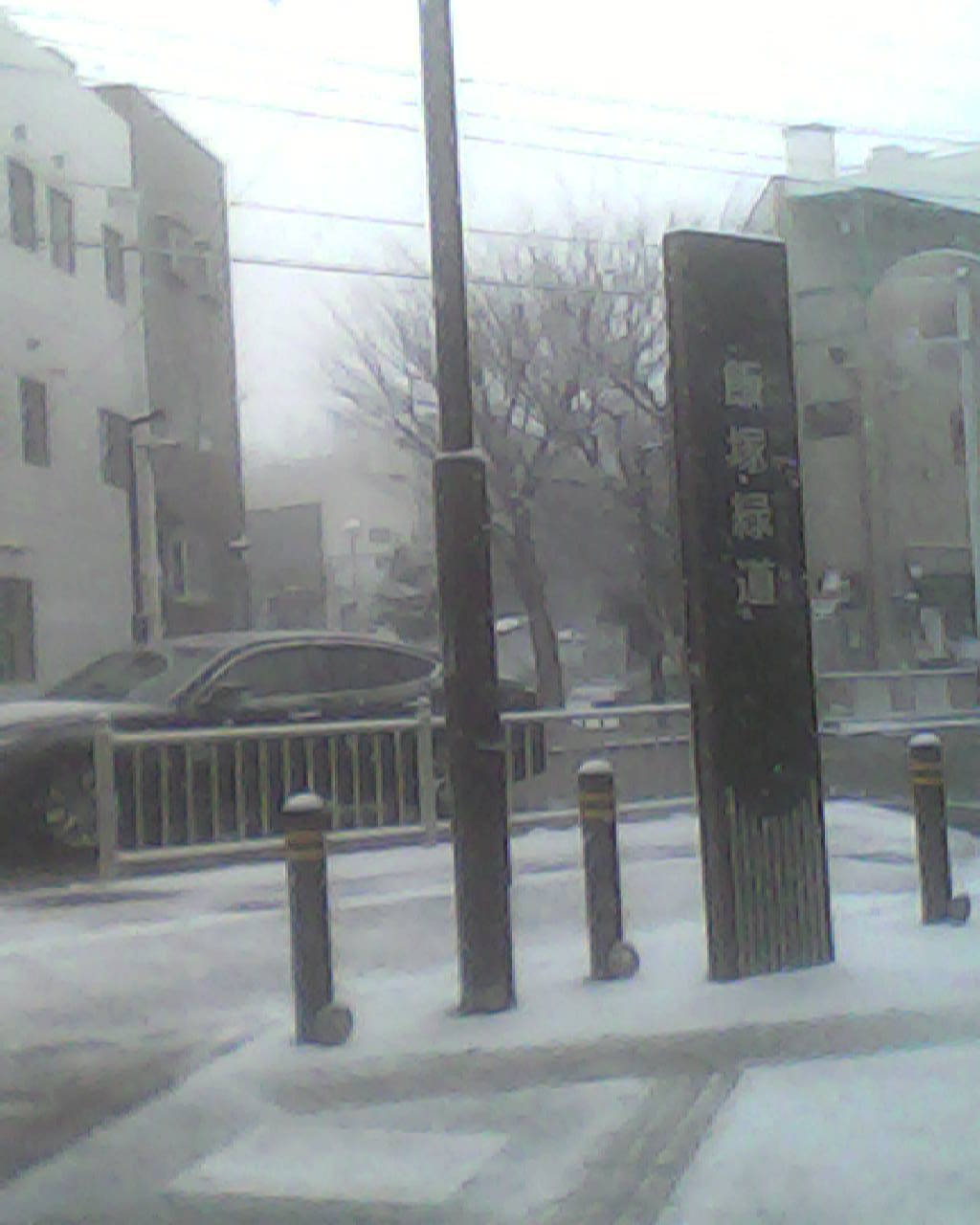 a0335493_18410265.jpg