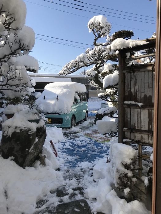 大雪の影響_c0048196_14534306.jpeg