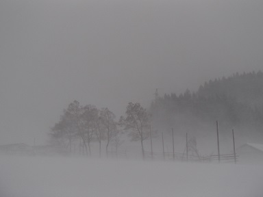 c0187298_2154974.jpg