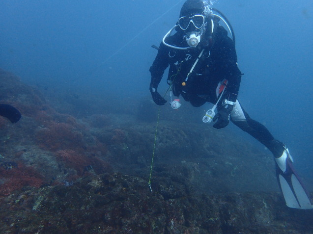 e0115199_12533093.jpg