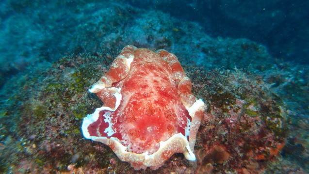 e0115199_13001534.jpg