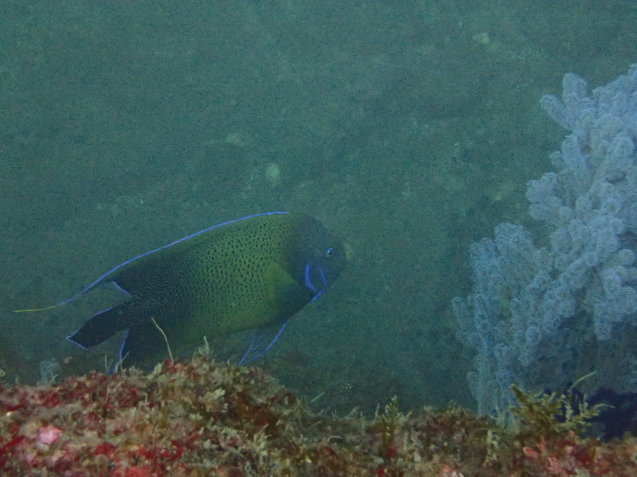 e0115199_13115662.jpg
