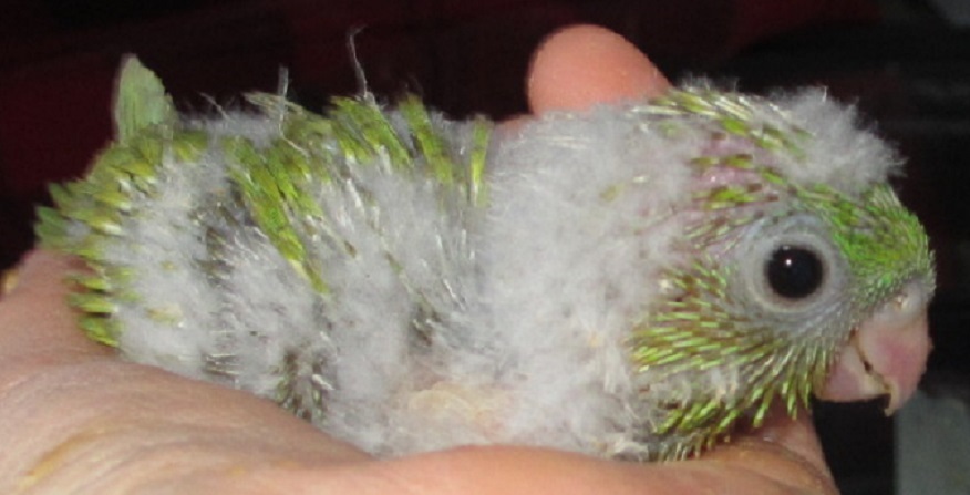 e0255102_20120442.jpg