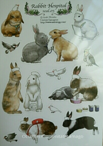 医療系雑貨生みたて卵屋①_f0255704_15402127.jpg
