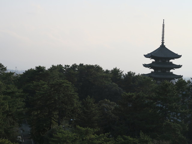 a0210108_2210335.jpg