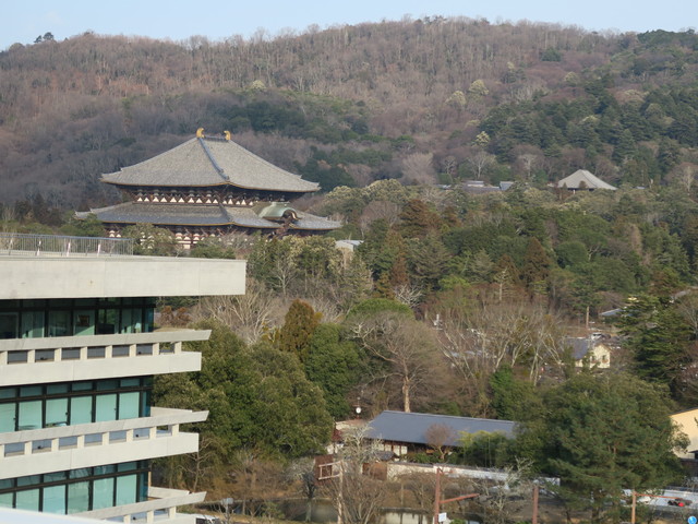 a0210108_229225.jpg