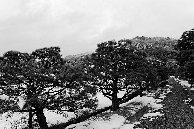 京都の雪景色2018＠修学院離宮　其の一_f0032011_18240512.jpg