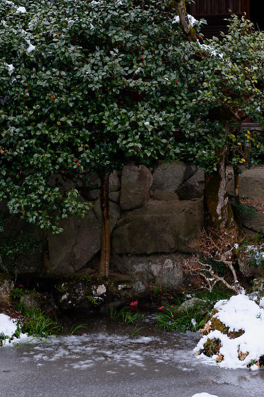 京都の雪景色2018＠修学院離宮　其の一_f0032011_18342121.jpg