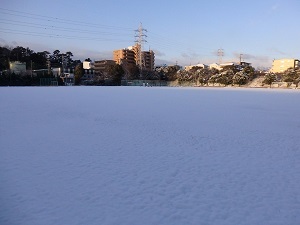c0386412_18355224.jpg