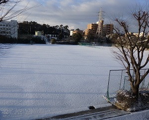c0386412_18355360.jpg